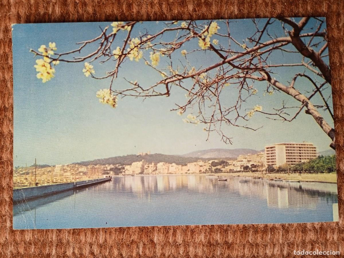Postales: PALMA DE MALLORCA - Foto 1