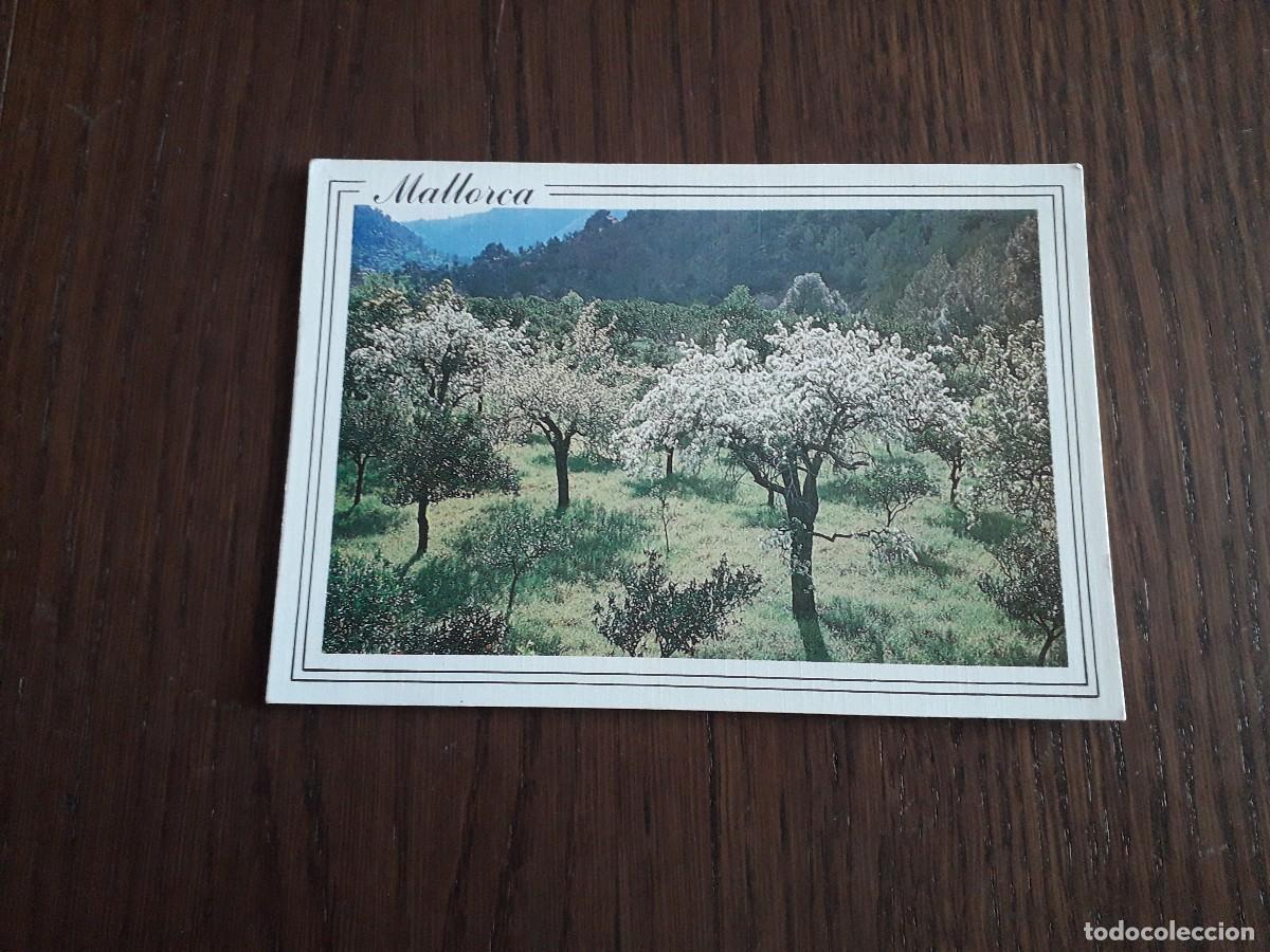 Cartes Postales: postal de im&aacute;genes de las Islas Baleares, paisaje de monta&ntilde;a, a&ntilde;os 80