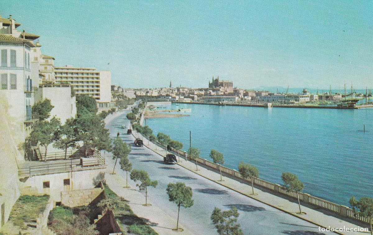 Postales: MALLORCA PASEO MARITIMO CON EL PUERTO Y LA CATEDRAL - Foto 1