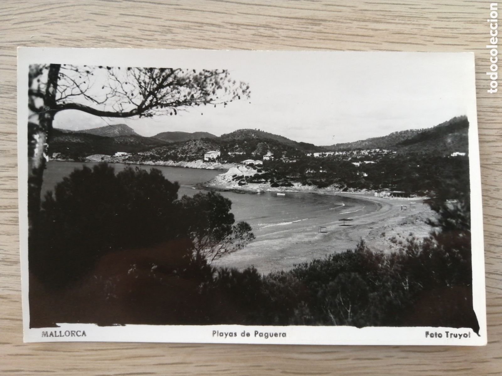 Postales: POSTAL PLAYA DE PAGUERA (MALLORCA)