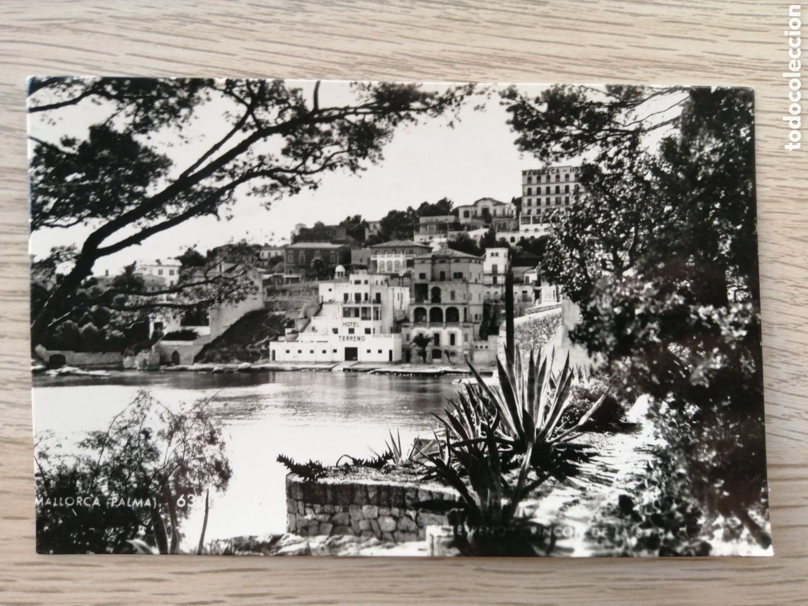 Postales: POSTAL MALLORCA - MESQUIDA - Foto 1