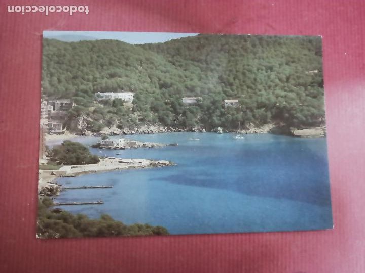 Postales: POSTAL 529 CAMP DE MAR - MALLORCA. - Foto 1