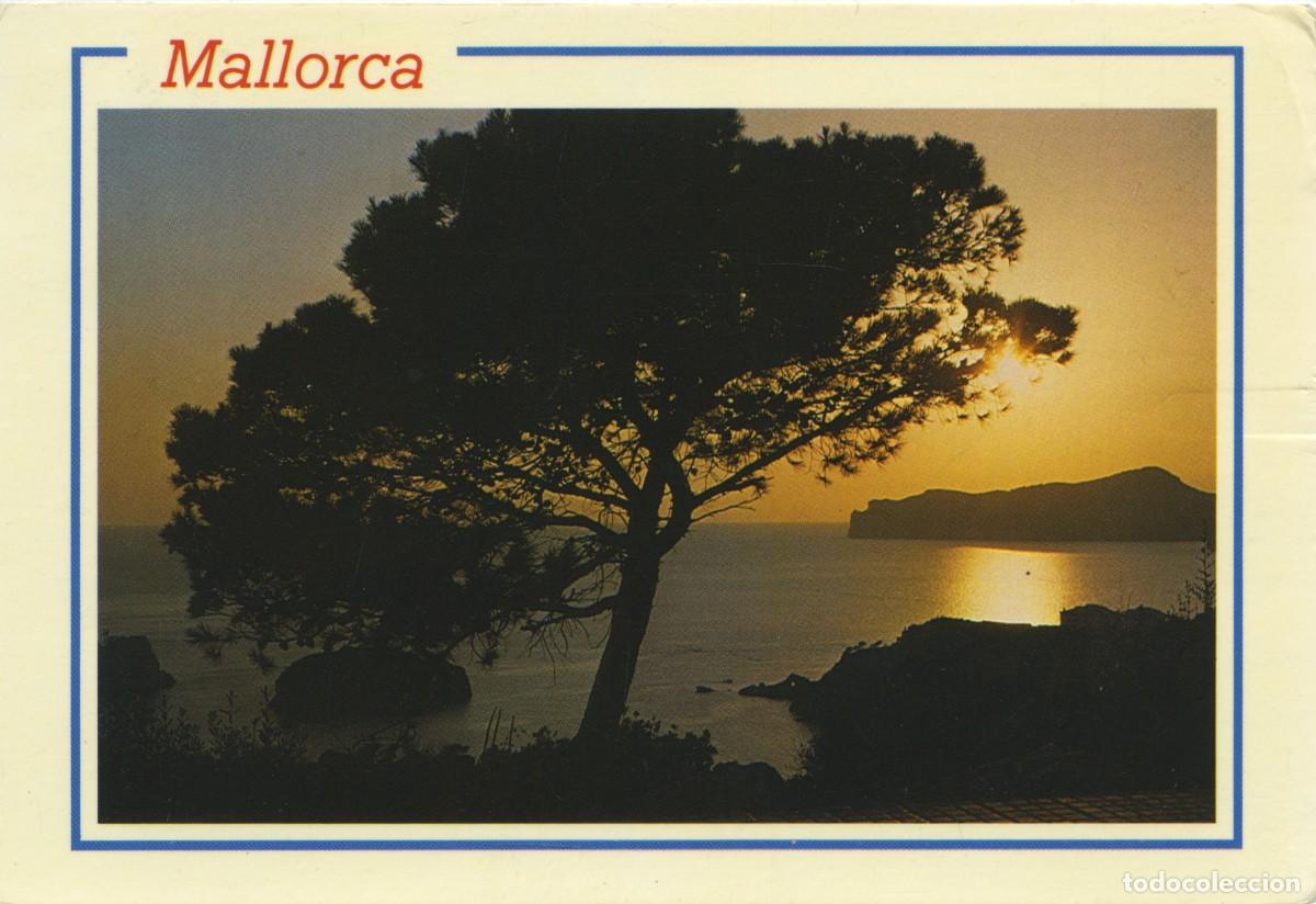 Cartes Postales: N&ordm; 3604a-MALLORCA. Circulada en 1989. EDICIONES PALMA