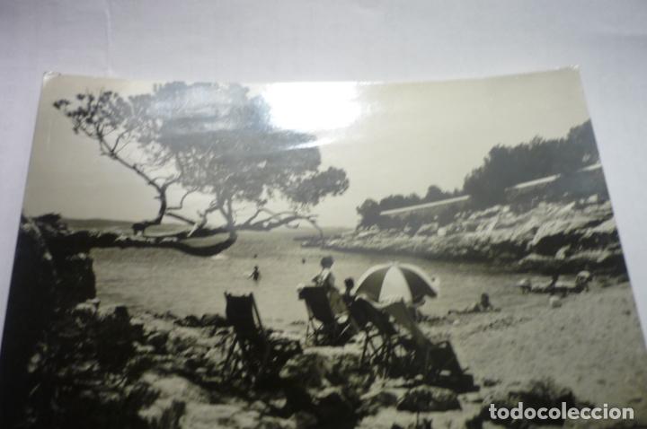 Postales: postal ibiza.-s.antonio cala grassio circulada cm