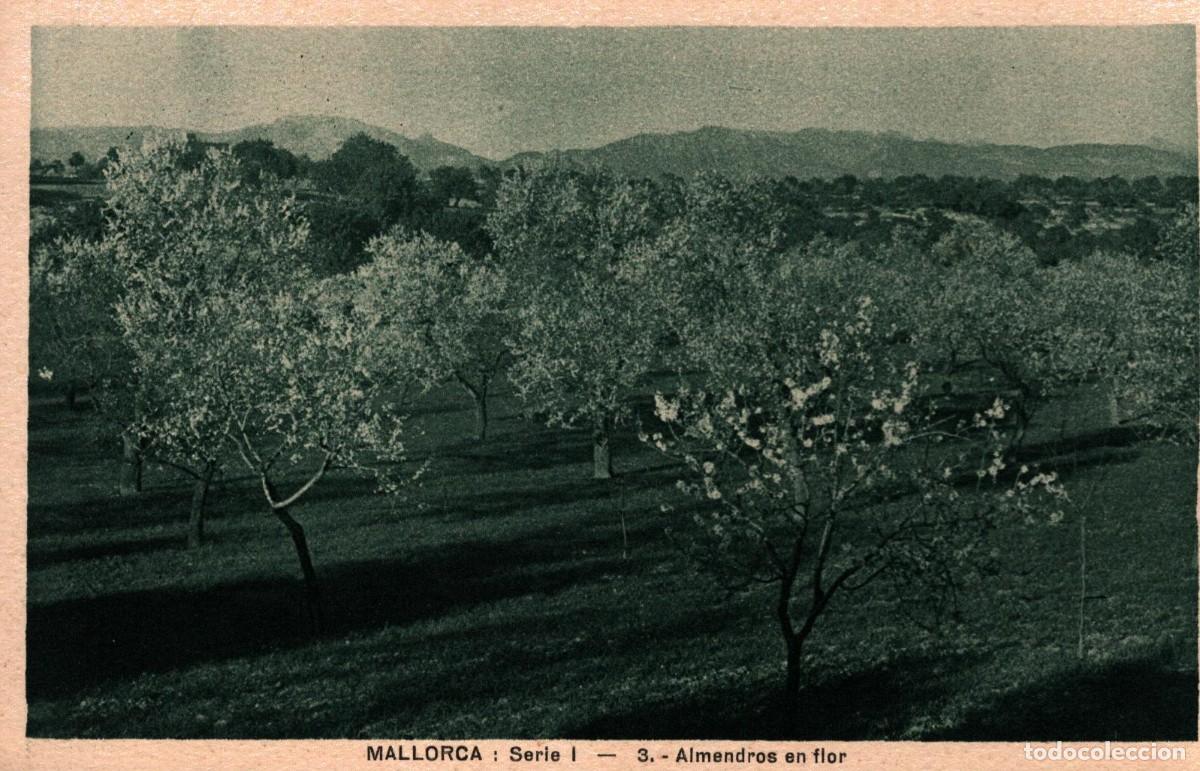Postales: mallorca almendros en flor sin circular - Foto 1