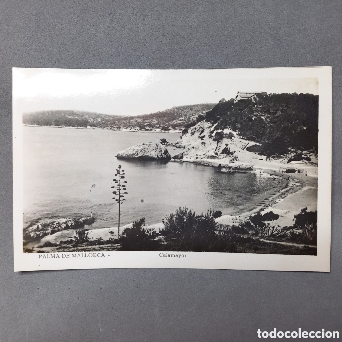 Postales: PALMA DE MALLORCA - Calamayor - Foto 1