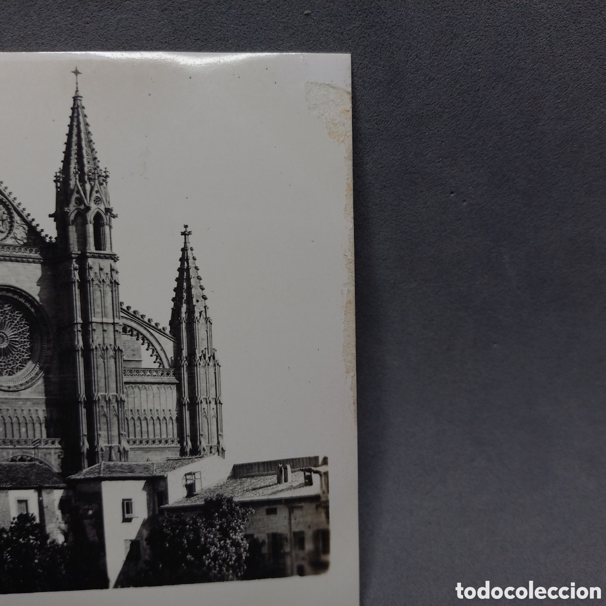 Postales: PALMA DE MALLORCA 10 La Catedral - Foto 2
