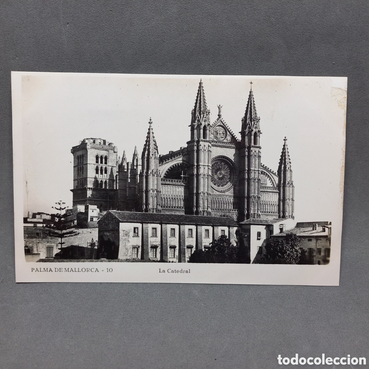 Postales: PALMA DE MALLORCA 10 La Catedral - Foto 1