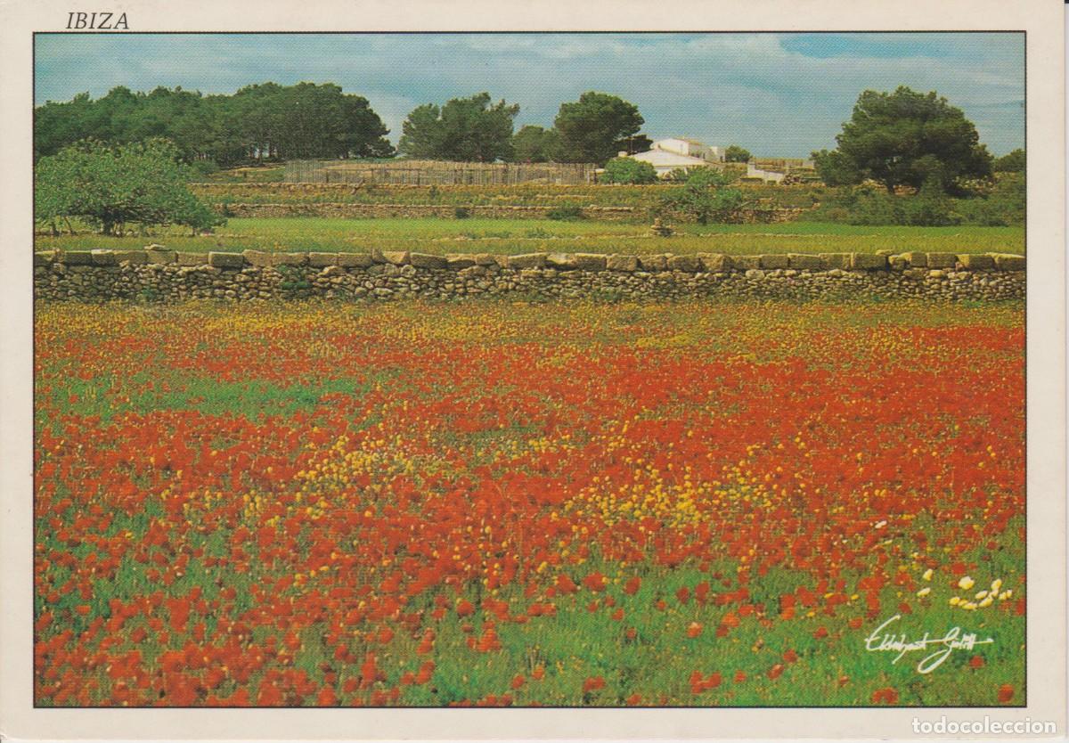 Postales: (204) IBIZA. EL MAR ROJO - Foto 1