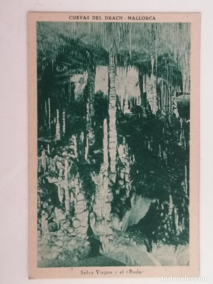 Postales: POSTAL CUEVAS DEL DRACH, MALLORCA - Foto 1