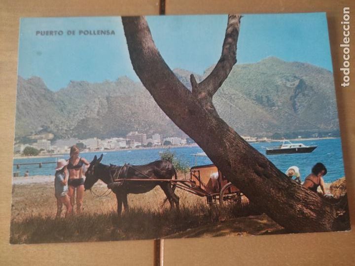 Cartes Postales: POLLENSA PUERTO MALLORCA N&ordm; 7150 SC ED ICARIA
