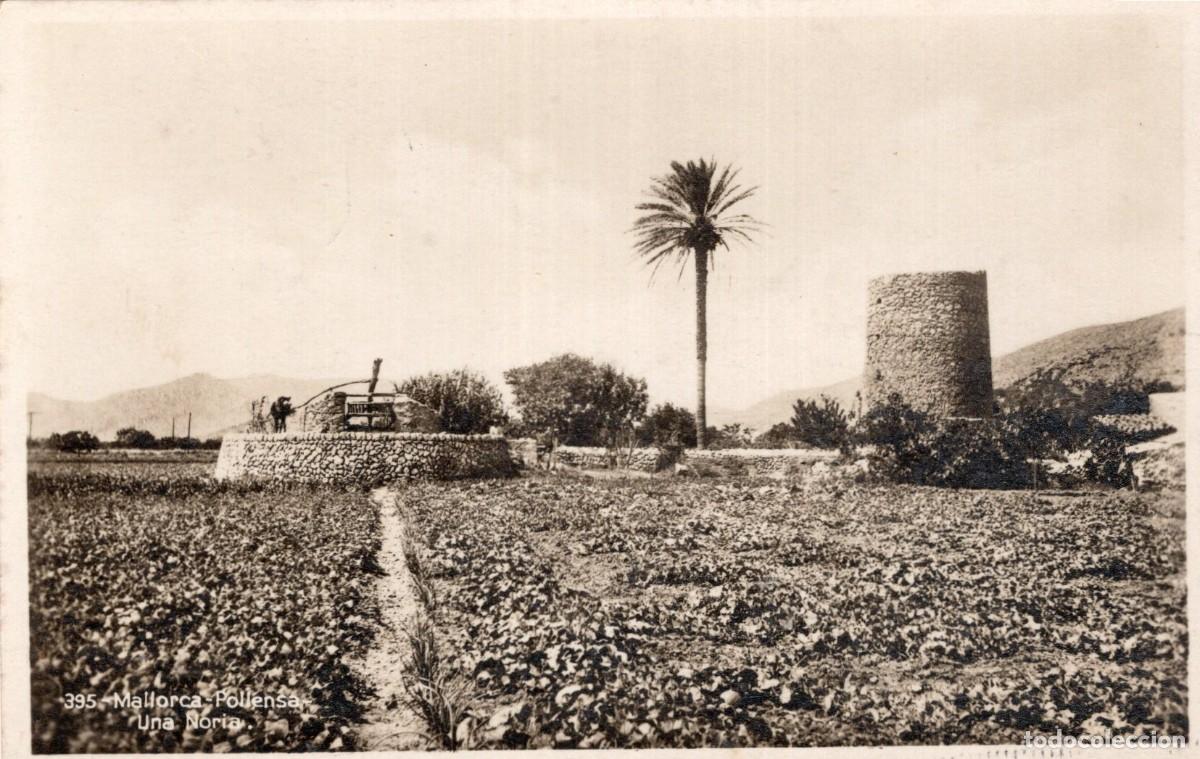 Postales: MALLORCA. POLLENSA. UNA NORIA - Foto 1