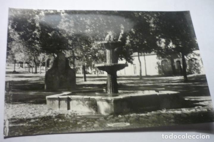 Postales: postal mallorca.-pl.santuario cm