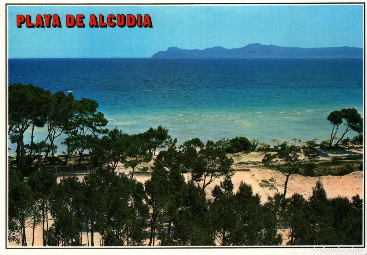 Postales: playa de alcudia mallorca sin circular - Foto 1