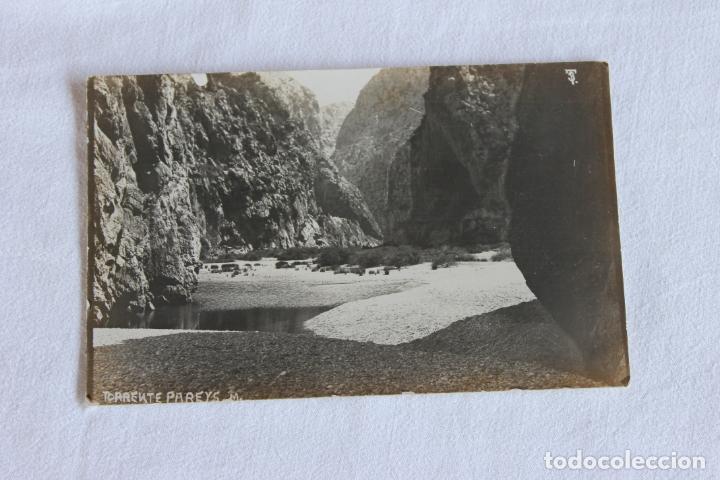 Postales: TORRENTE PAREYS MALLORCA - Foto 1