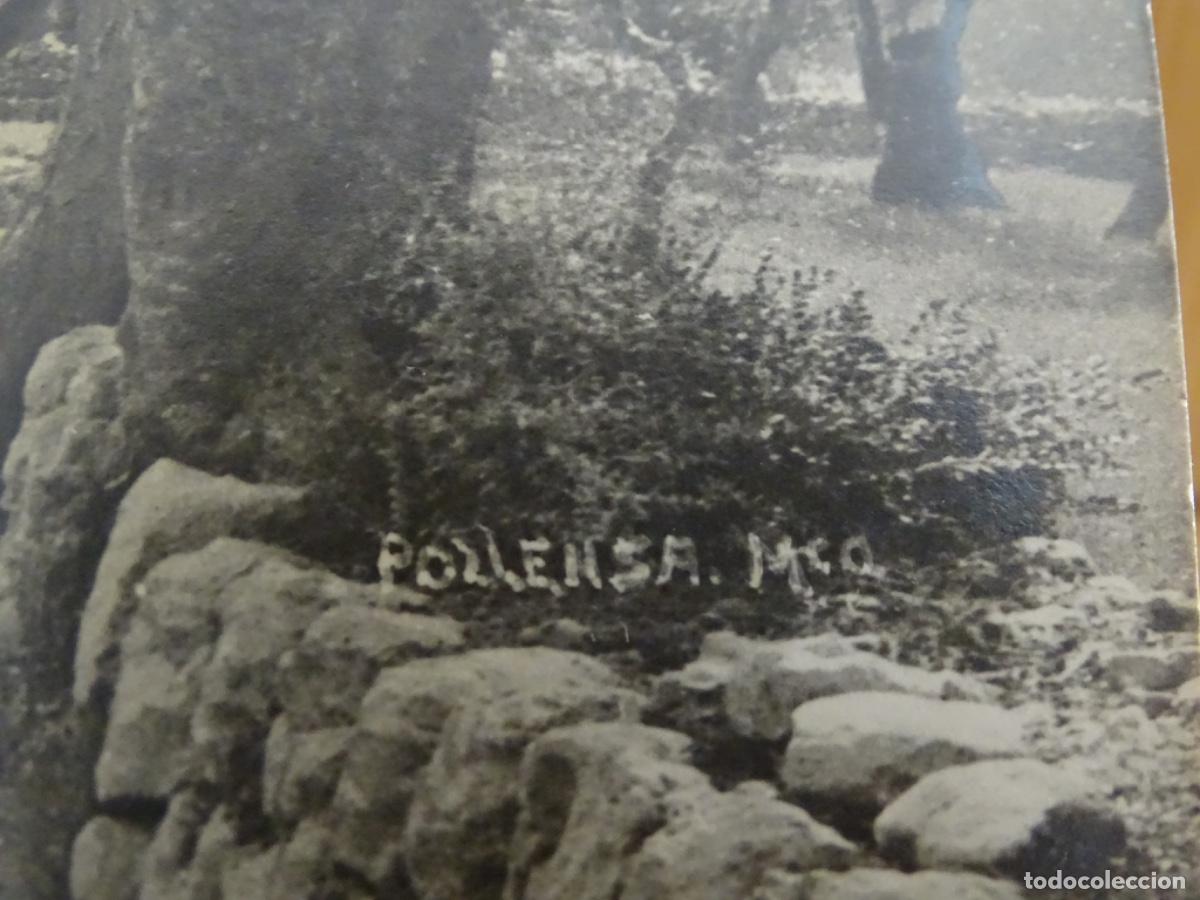 Postales: FOTO-POSTAL MALLORCA. POLLENSA. - Foto 2