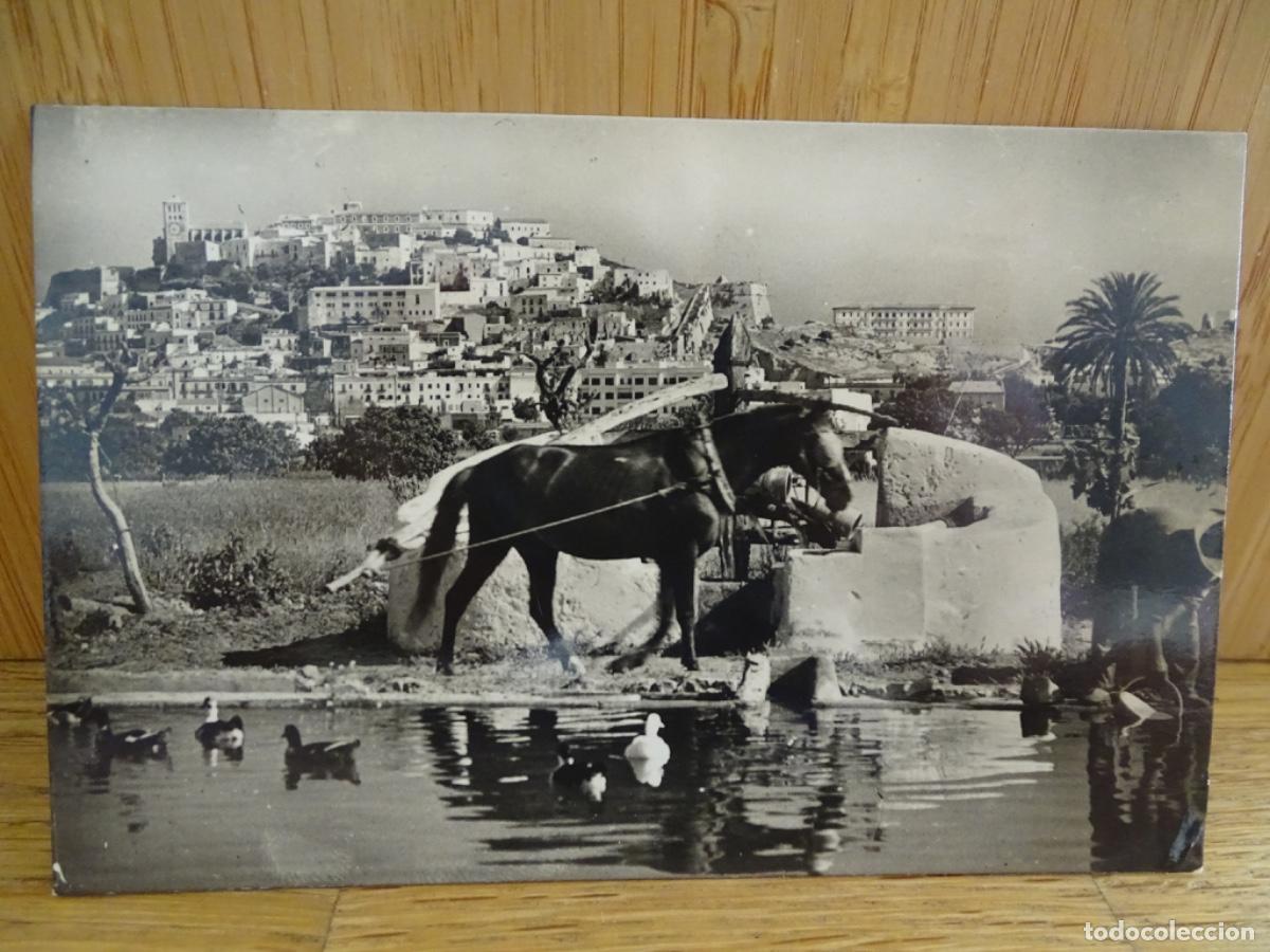 Postkarten: POSTAL IBIZA. VISTA PARCIAL. NORIA T&Iacute;PICA. FOTO VI&Ntilde;ETS.