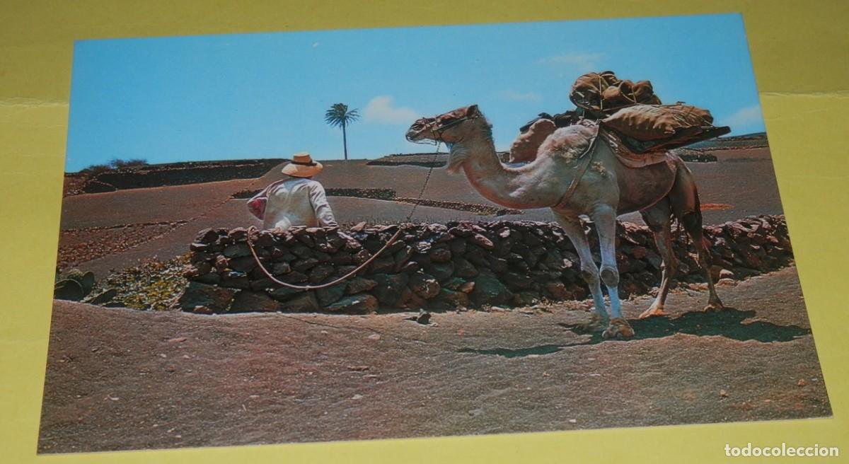 Postkarten: TARGETA POSTAL DE LA ISLA DE LANZAROTE