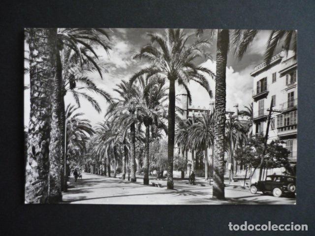 Postales: PALMA DE MALLORCA PASEO DE SAGRERA - Foto 1