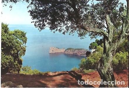 Postales: POSTAL A COLOR MALLORCA VALLDEMOSA FORADADA - Foto 1