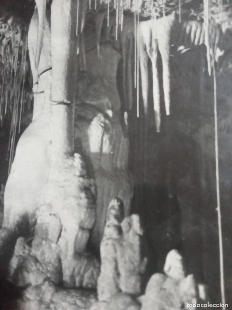 Postales: Mallorca.Cueva d  Els hams. - Foto 2
