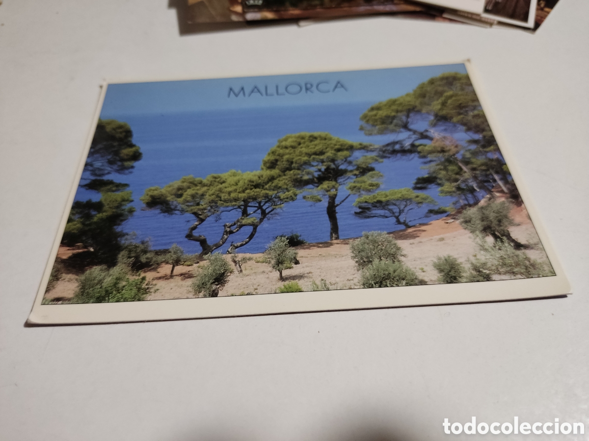 Postales: Postal Mallorca - Foto 1