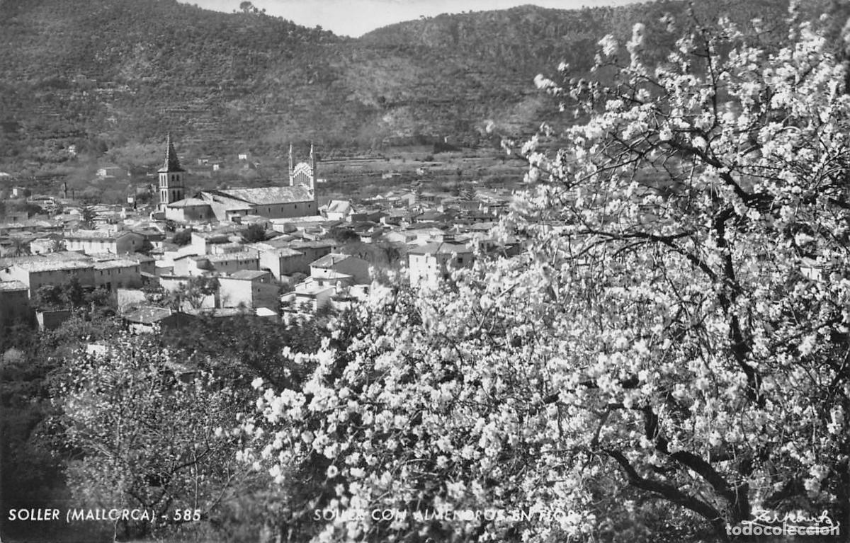 Postales: Postal SOLLER, Soller con almendros con flor - Foto 1