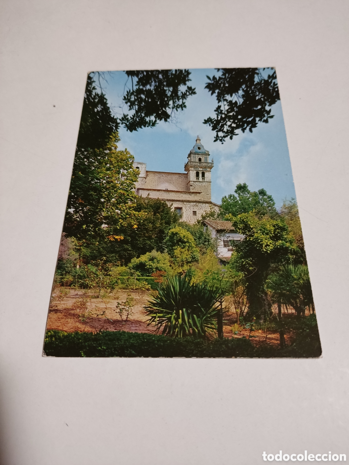 Cartes Postales: Postal valldemosa