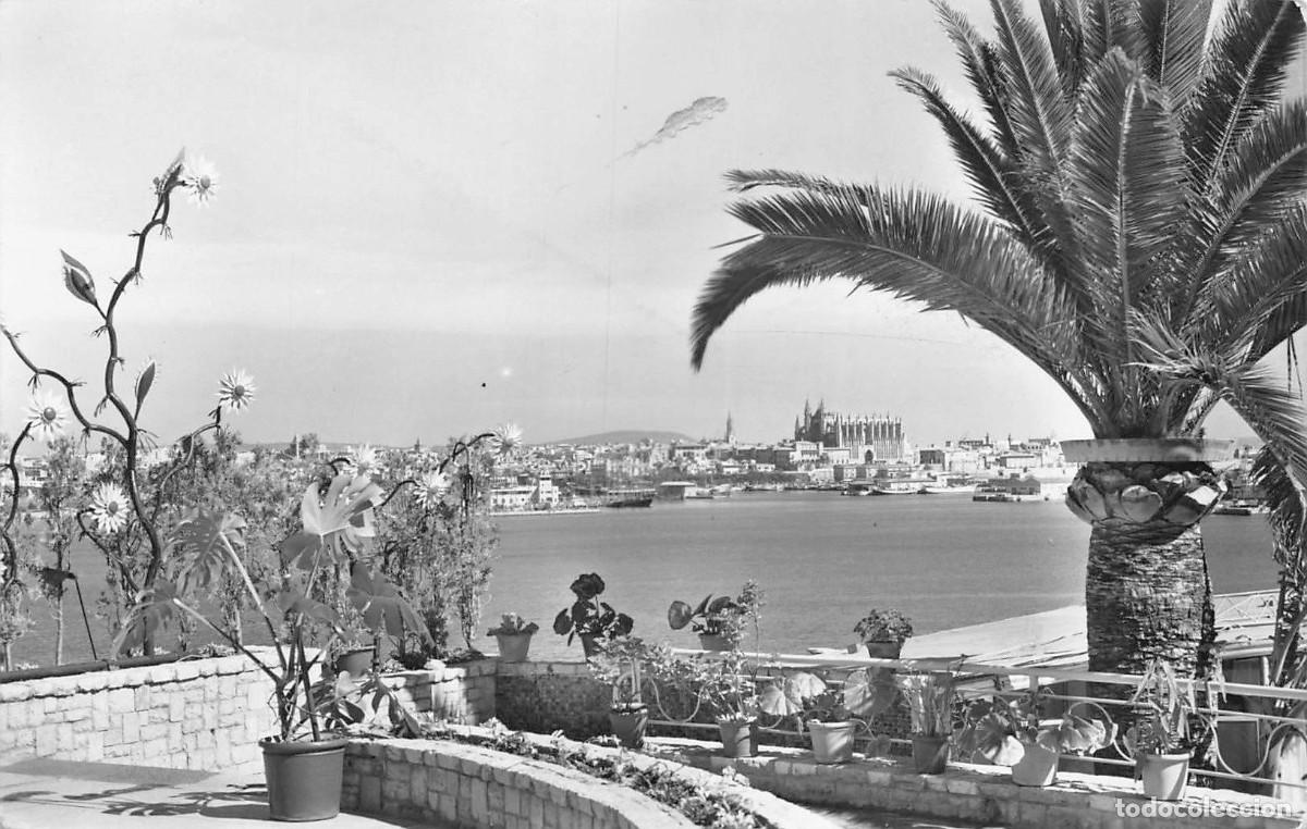 Postales: Postal MALLORCA, La Catedral Terreno - Foto 1