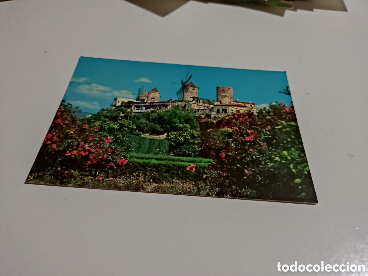 Postales: Postal Mallorca Molinos - Foto 1