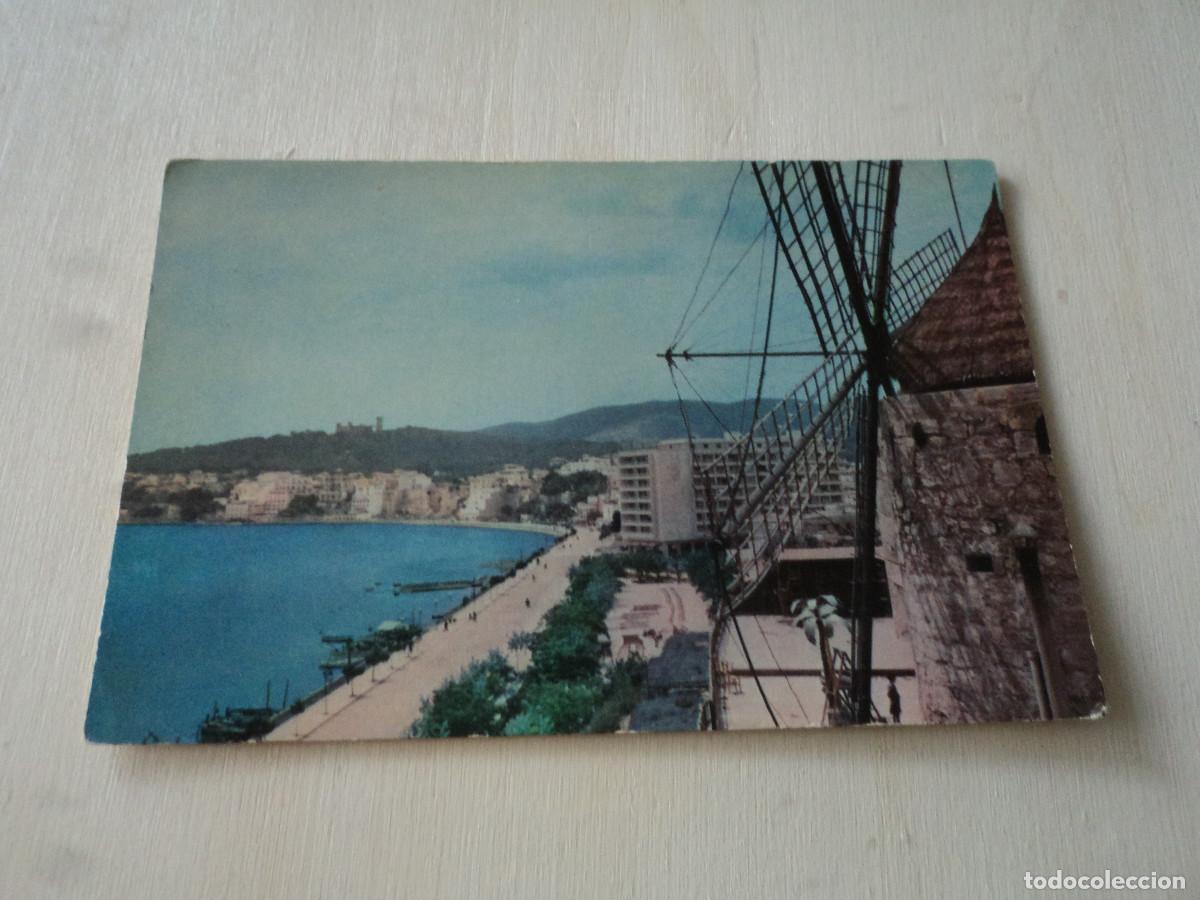 Postkarten: 3241 palma paseo maritimo, desde el molino del jonquet, ed. campa&ntilde;a, circulada