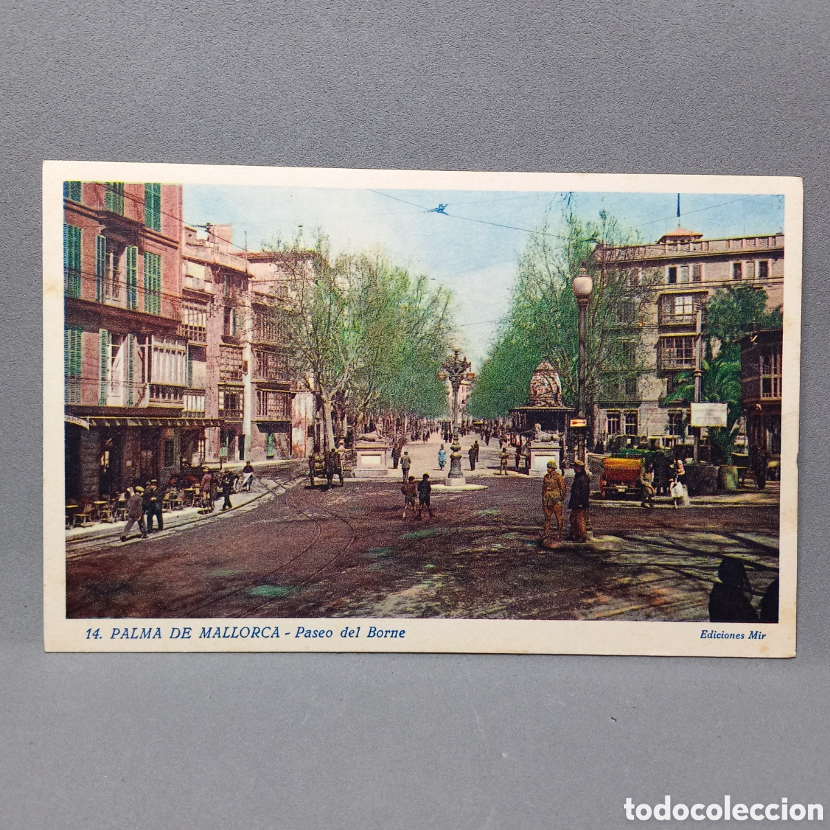 Postales: MALLORCA, Ediciones Mir. Paseo del Borne - Foto 1