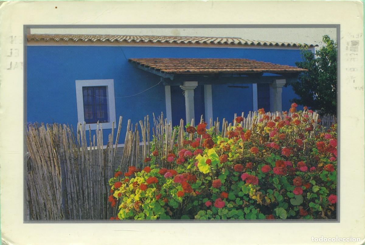 Cartes Postales: FORMETERA. Circulada en 1993. ED. TRIANGLE POSTALS.
