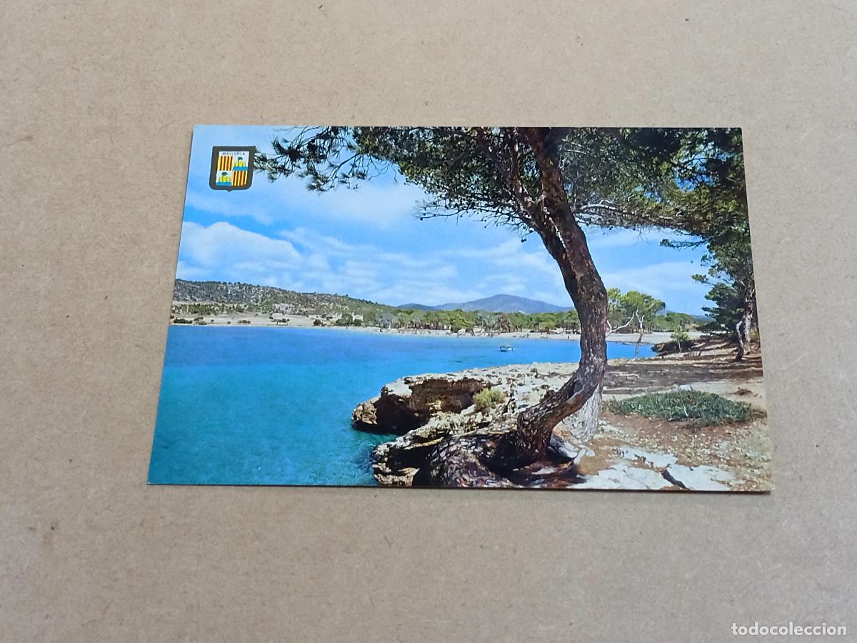 Postales: MALLORCA - POSTAL PLAYA DE STA. PONSA - Foto 1