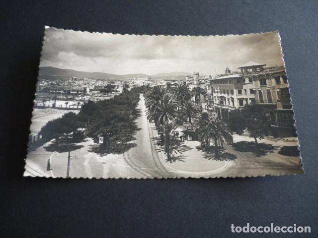 Postales: PALMA DE MALLORCA PASEO DE SAGRERA - Foto 1