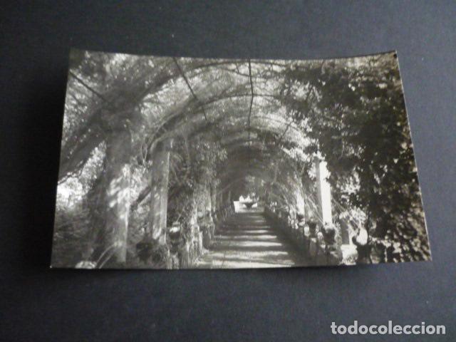 Postales: MALLORCA JARDINES DE ALFABIA - Foto 1