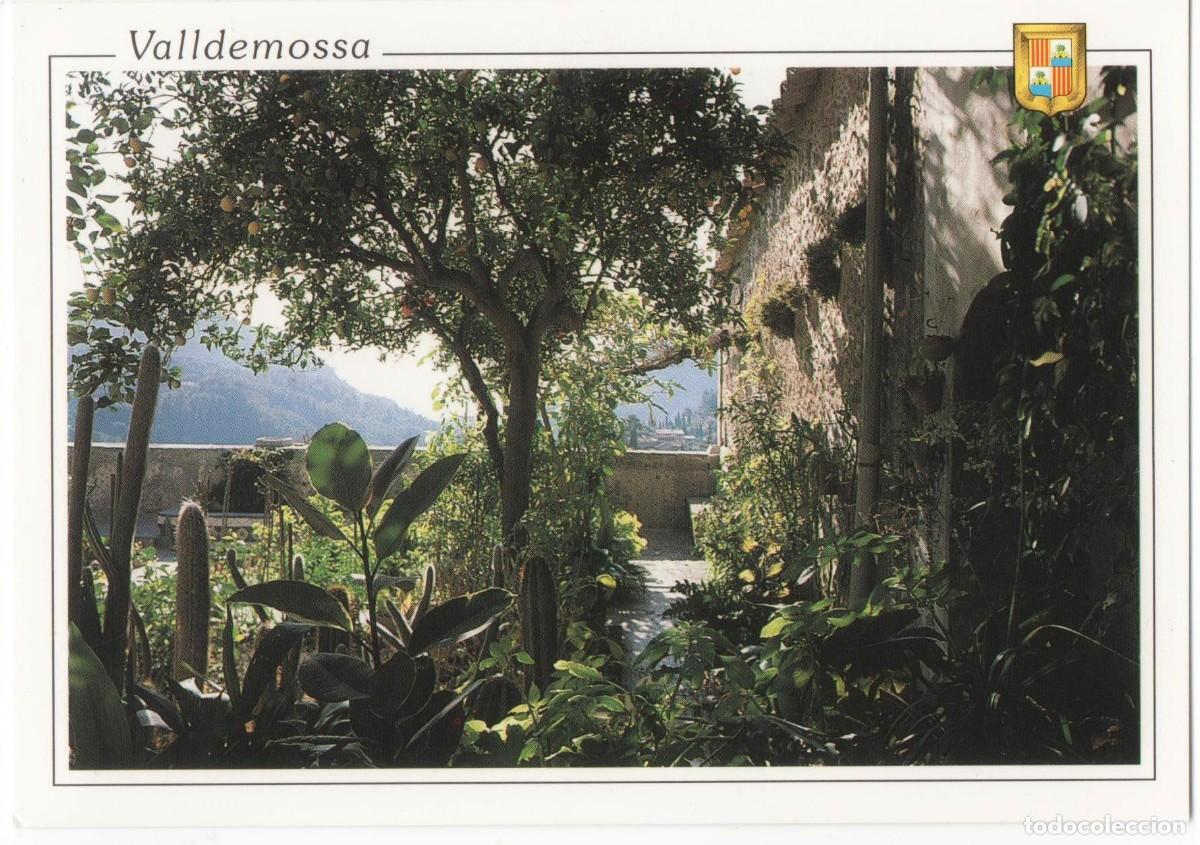 Postales: Mallorca -Valldemossa-Sin circular- - Foto 1