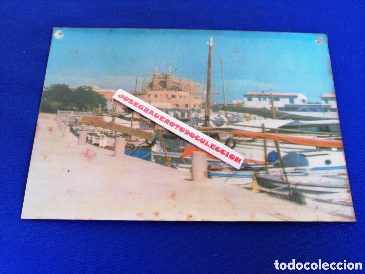 Postales: MALLORCA PASEO MAR&Iacute;TIMO - Foto 1