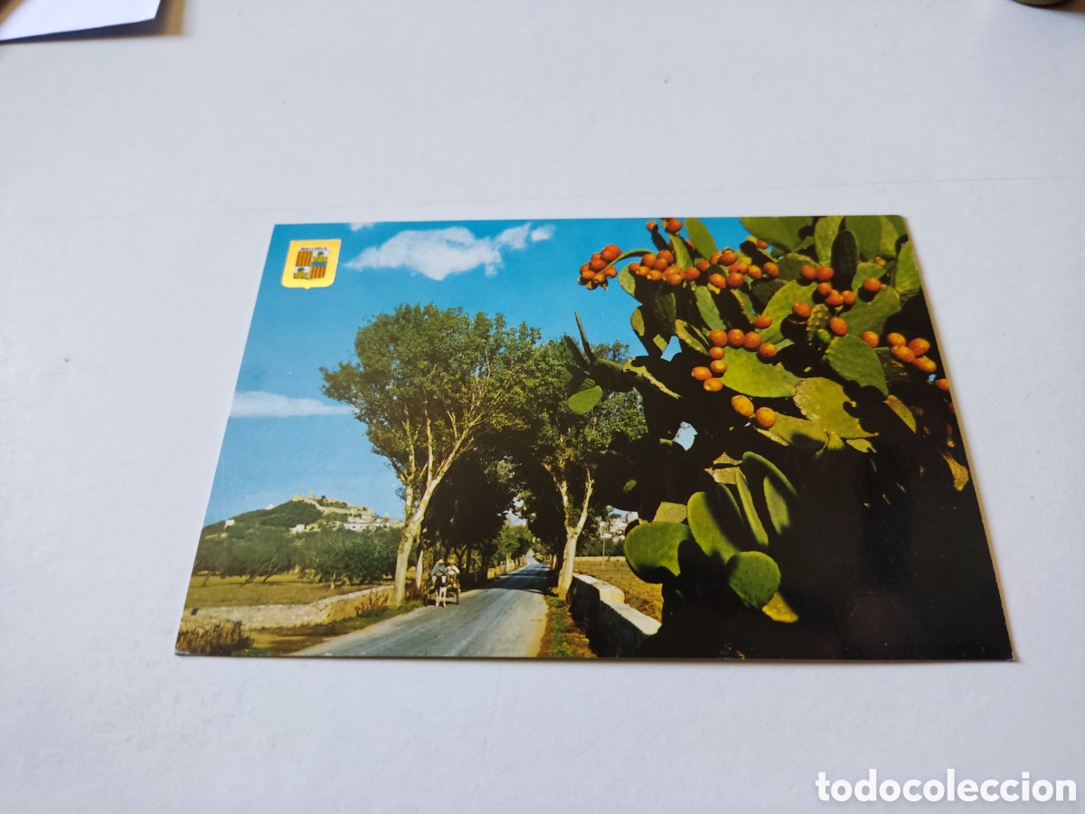 Postales: Postal Mallorca Capdepera - Foto 1