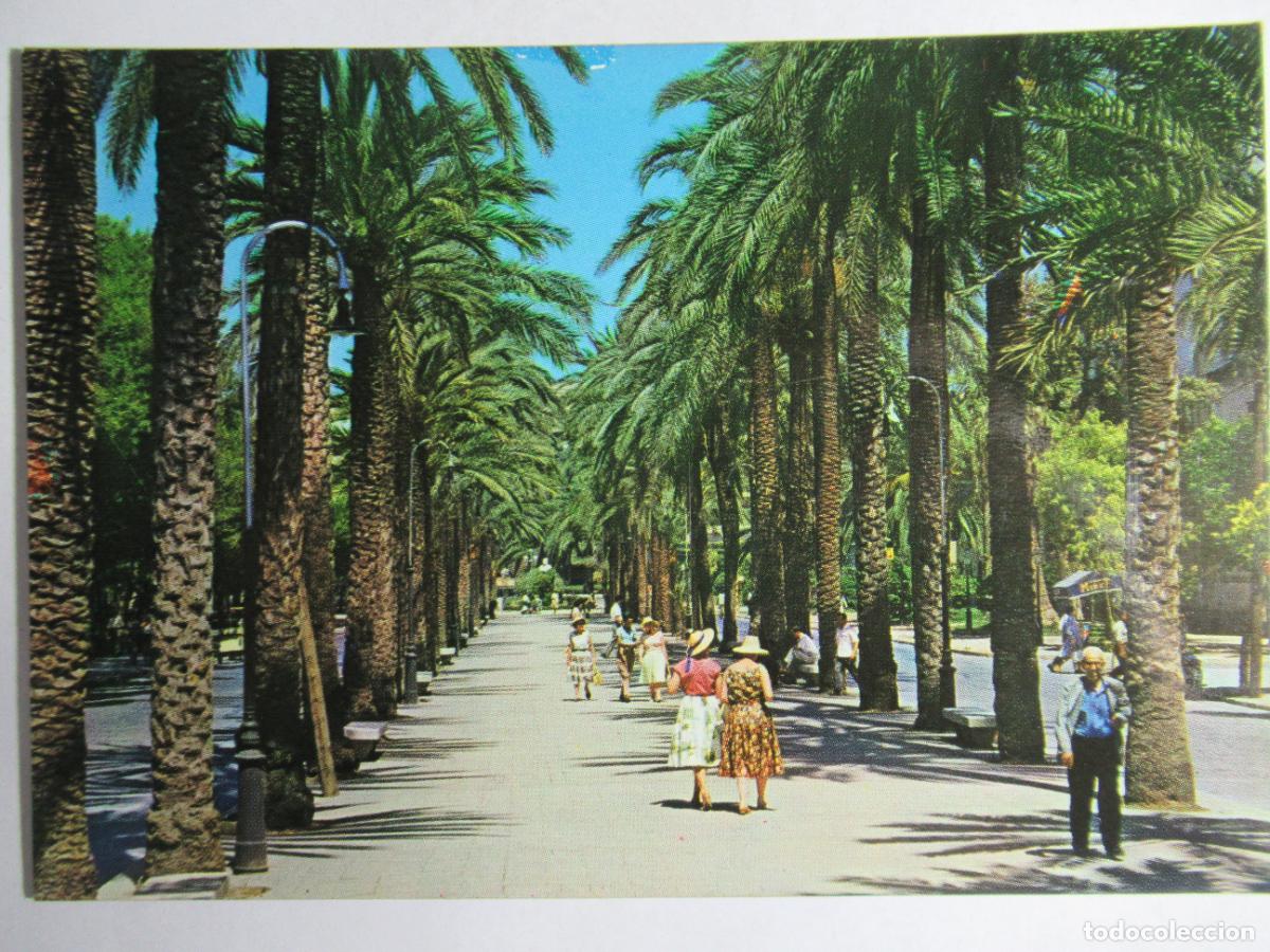 Postales: Palma de Mallorca - Paseo de Sagrera - Foto 1