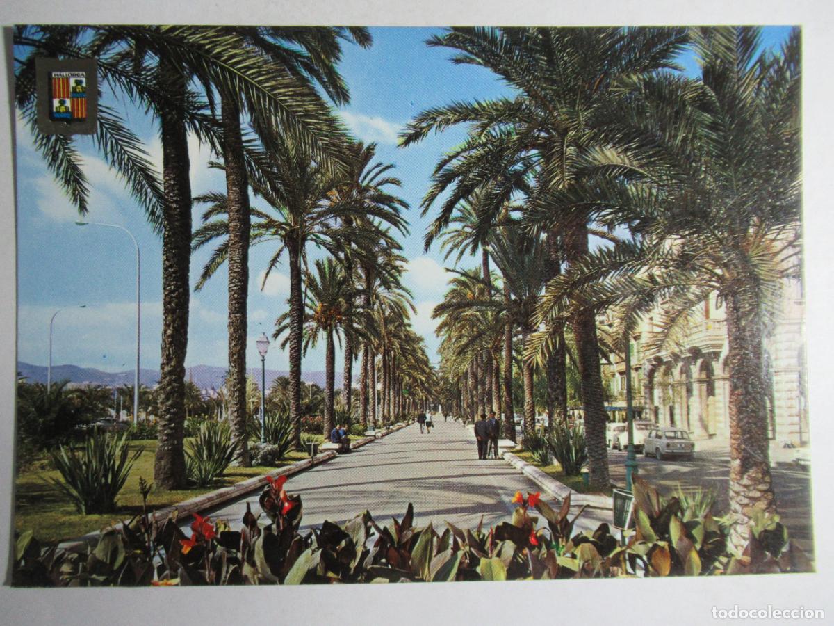 Postales: Palma de Mallorca - Paseo Sagrera - Foto 1