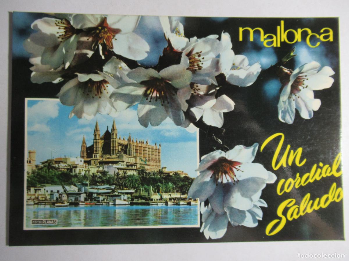 Postales: Palma de Mallorca - La Catedral - Foto 1