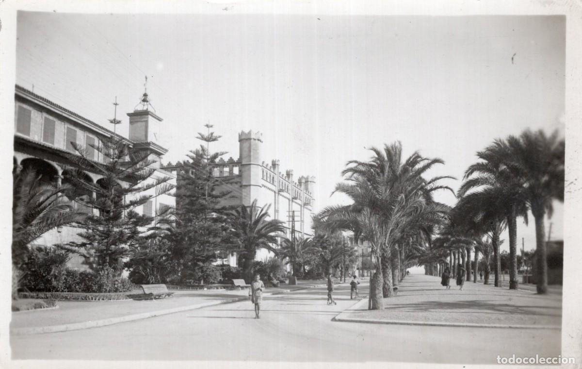 Postales: PALMA DE MALLORCA. PASEO - Foto 1