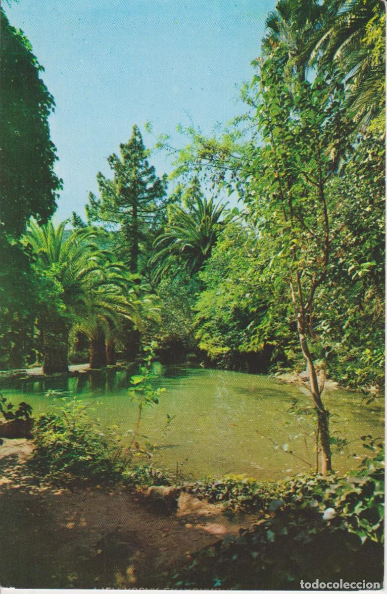 Cartes Postales: (6) ALFABIA. MALLORCA. EL LAGO ... SIN CIRCULAR