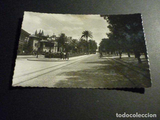 Postales: PALMA DE MALLORCA PASEO DE SAGRERA - Foto 1