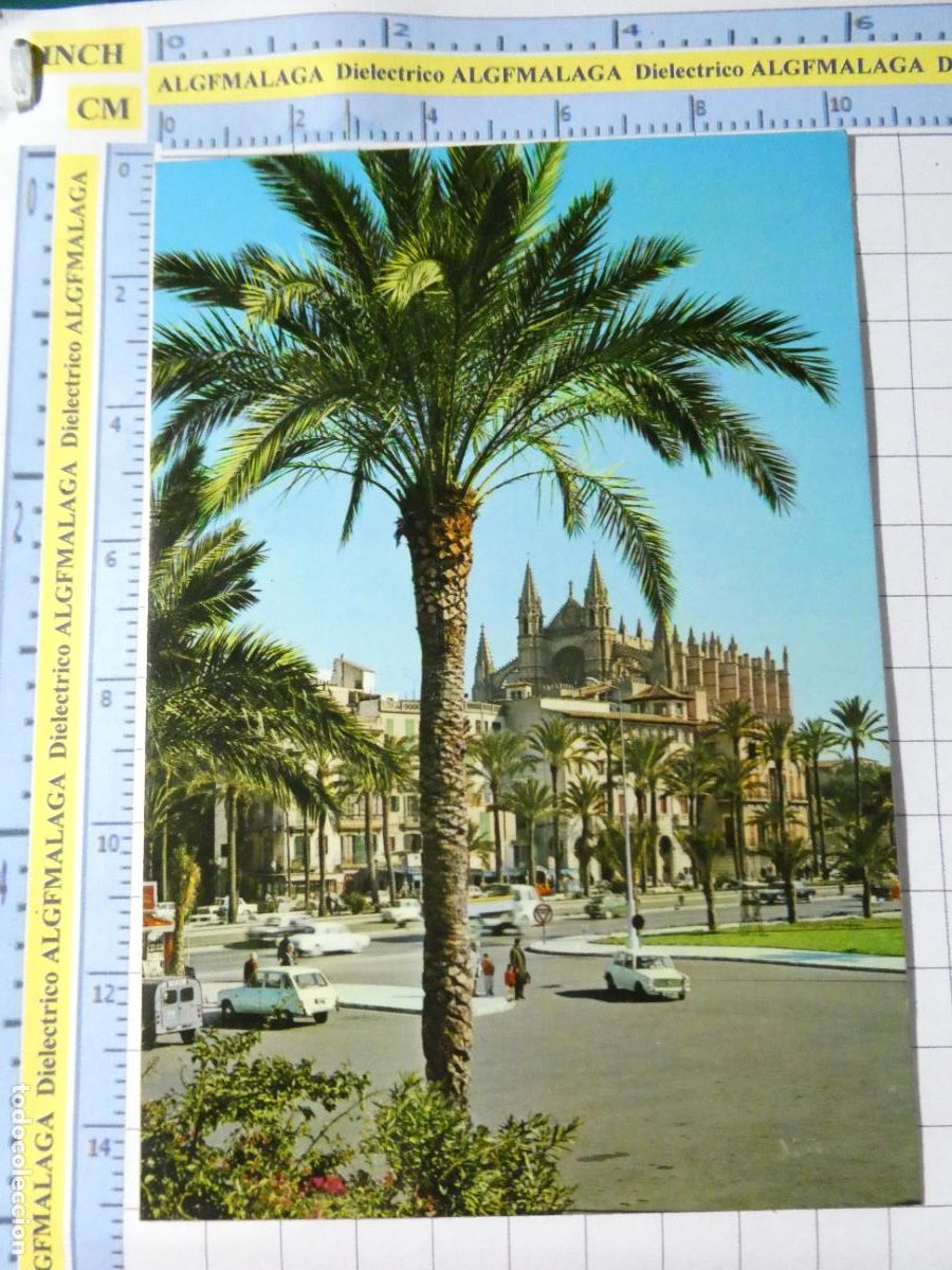 Postais: POSTAL DE MALLORCA. A&Ntilde;O 1970. PALMA PASEO DE SAGRERA Y CATEDRAL 1050 PLANAS. 1467