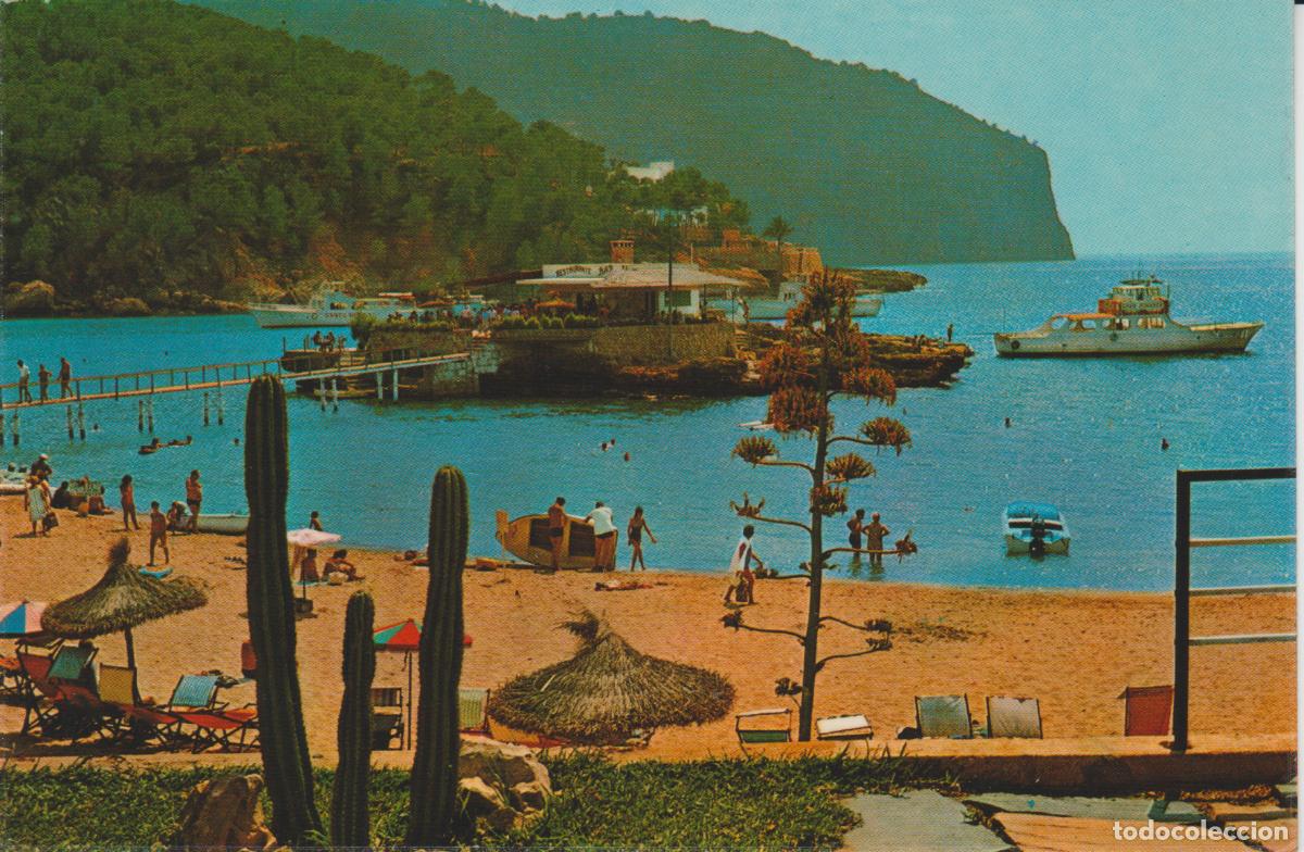 Postales: (4031) CAMP DE MAR. MALLORCA ... SIN CIRCULAR - Foto 1