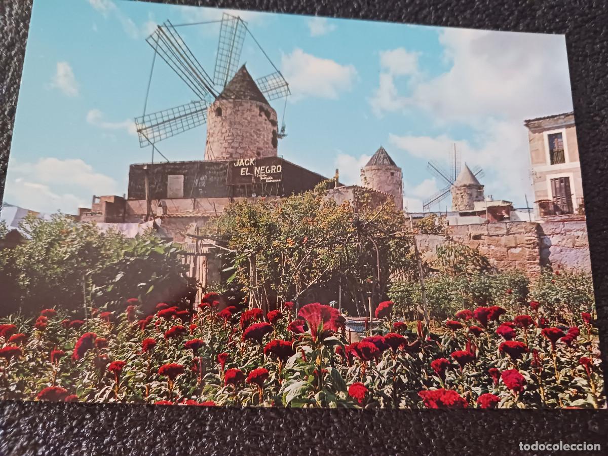 Postales: 331 mallorca, molino de jack el negro, ed. zerkowitz - Foto 1