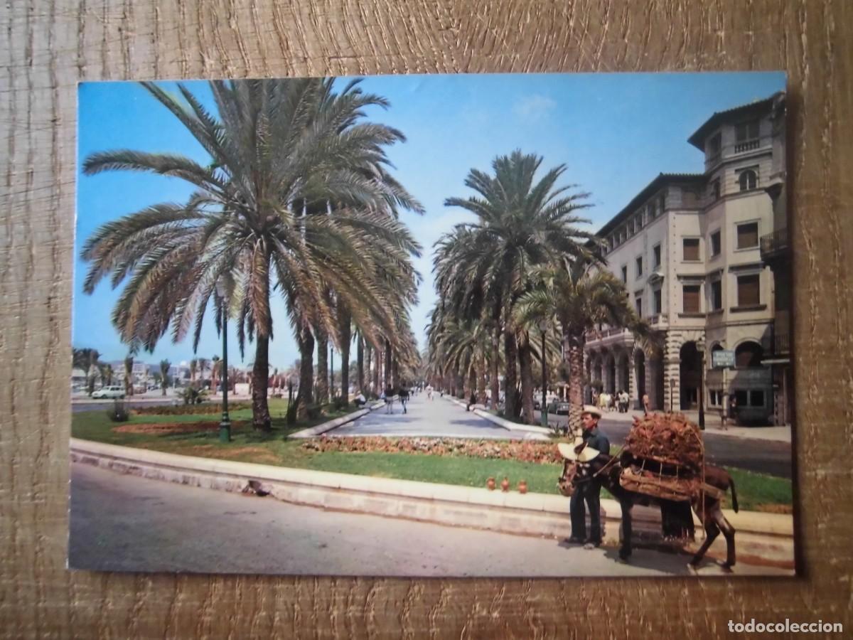 Postales: POSTAL MALLORCA PASEO SAGRERA EDICIONES PALMA - Foto 1