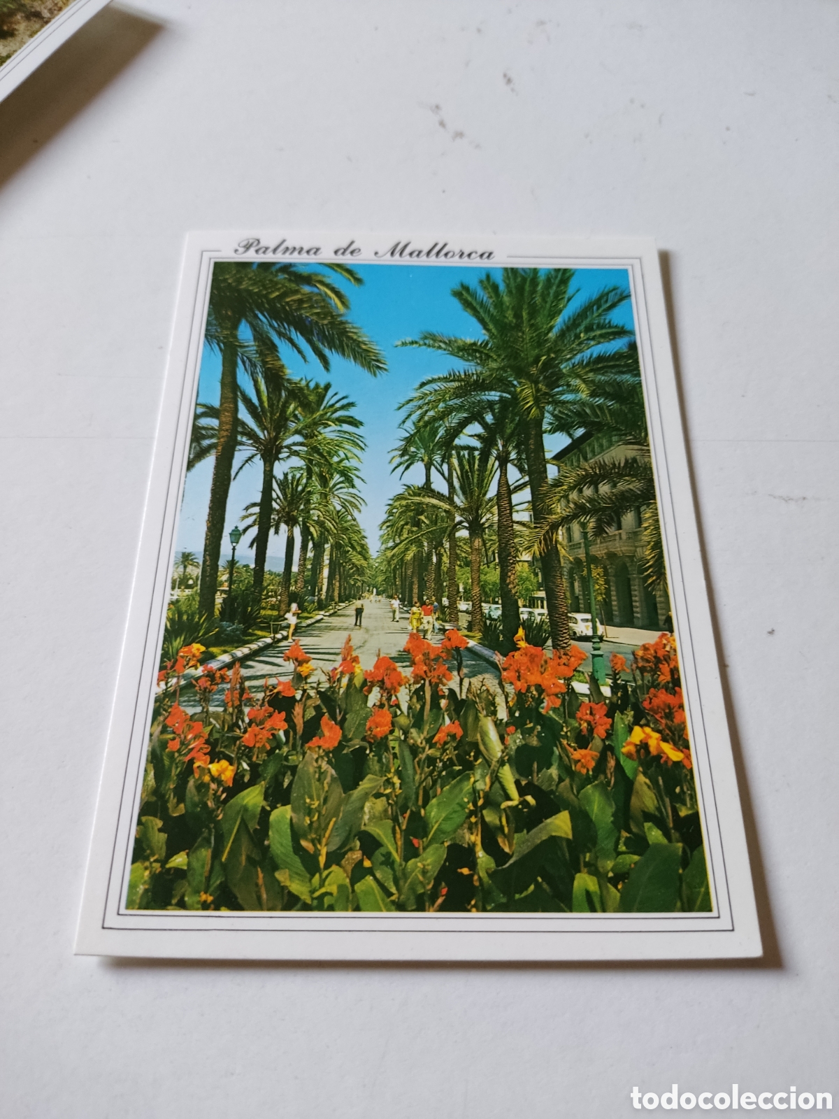 Postales: Postal Palma de Mallorca - Foto 1